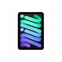 iPad mini Wi-Fi + Cellular 256GB - Grigio Siderale