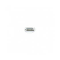 Adattatore da USB-C a Apple Pencil