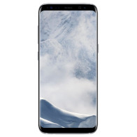 SAMSUNG G950F GALAXY S8 5.8" OCTA CORE 64GB RAM 4GB 4G LTE IP68 ITALIA + MICRO SD 64GB EVO PLUS ITALIA ARGENTO
